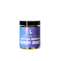 Thumbnail for Loxa Turkey Tail Vegan Mushroom Gummy Bears 8000mg - 400g Tub